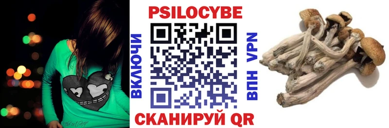 наркота  Сальск  Галлюциногенные грибы Psilocybine cubensis 
